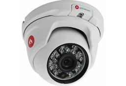 ActiveCam AC-D8101IR2 - купольная IP камера ActiveCam AC-D8101IR2 - купольная IP камера