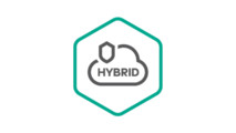 Kaspersky Security для виртуальных и облачных сред