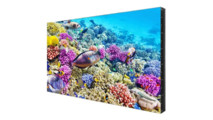 ЖК-дисплей EliteBoard BK557FFLE