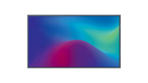 Профессиональная панель Sber 55”